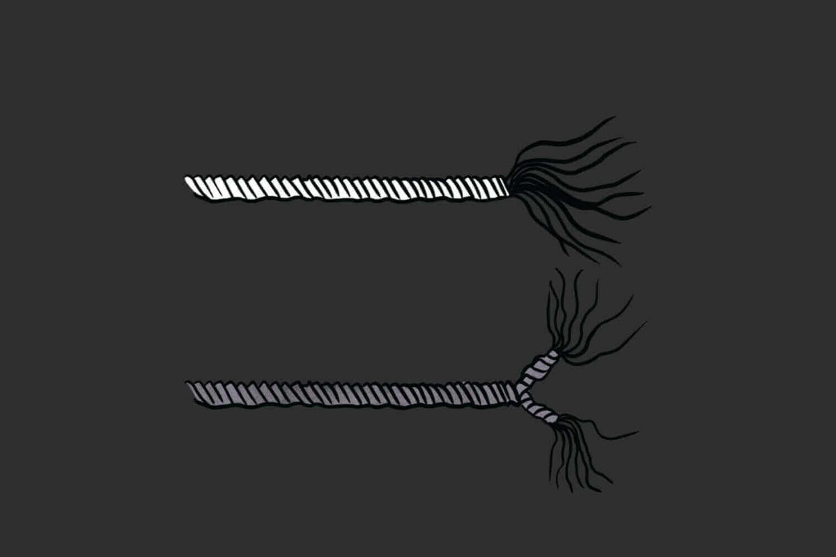 Illustration of two twisted cotton yarns unravelling into loose fibres on a dark background