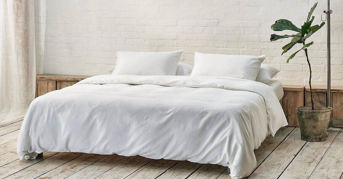 Low bed dressed in white bedding in a bright room with a white brick wall and a potted fig tree