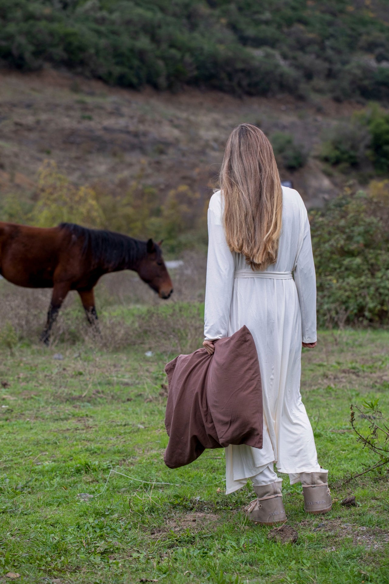 pillow-and-horse.jpg