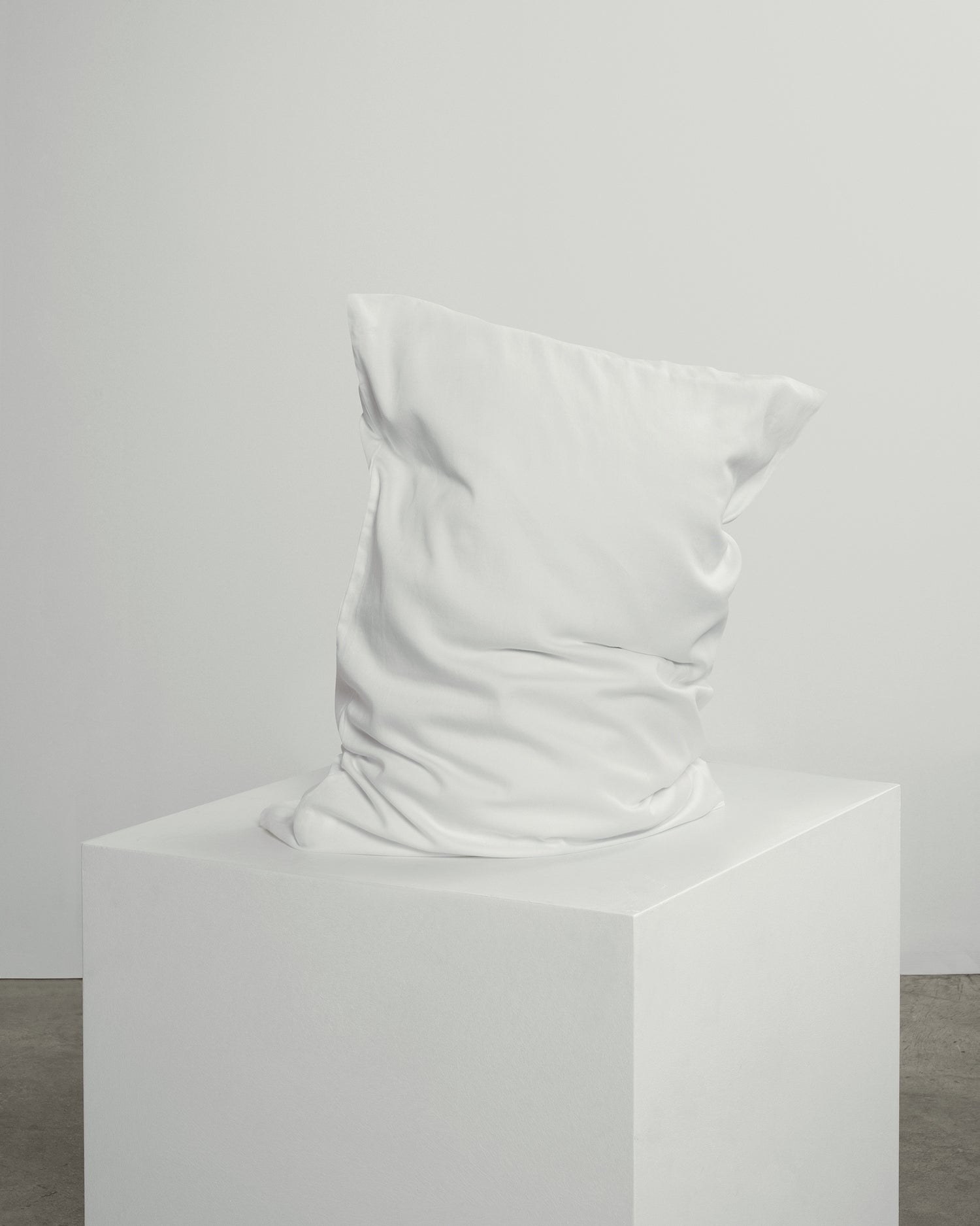white cotton pillowcase pair.