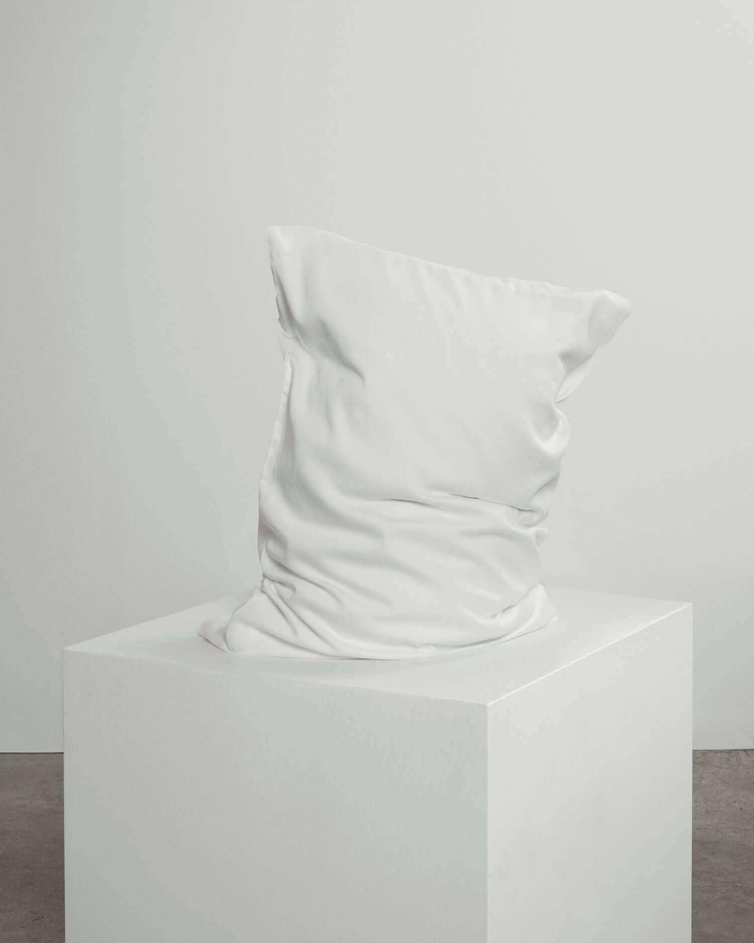 white cotton pillowcase pair.